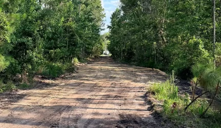 Land Clearing
